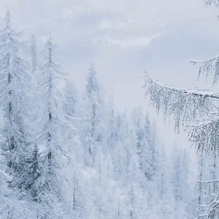 Hotel Cosmiques - Centre 2*