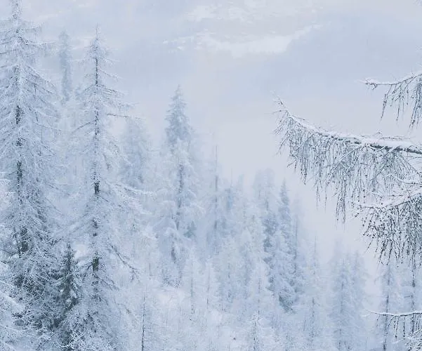 Ξενοδοχείο Cosmiques - Centre 2*